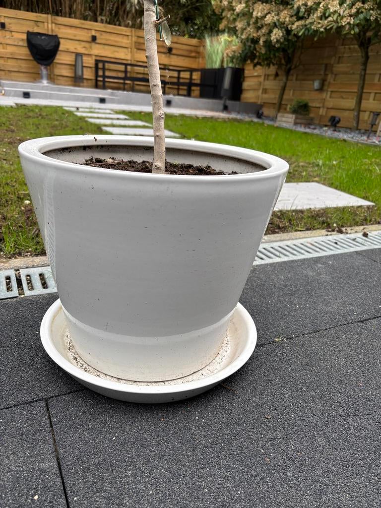 4 pots de fleurs, Enlèvement, Comme neuf, Pierre