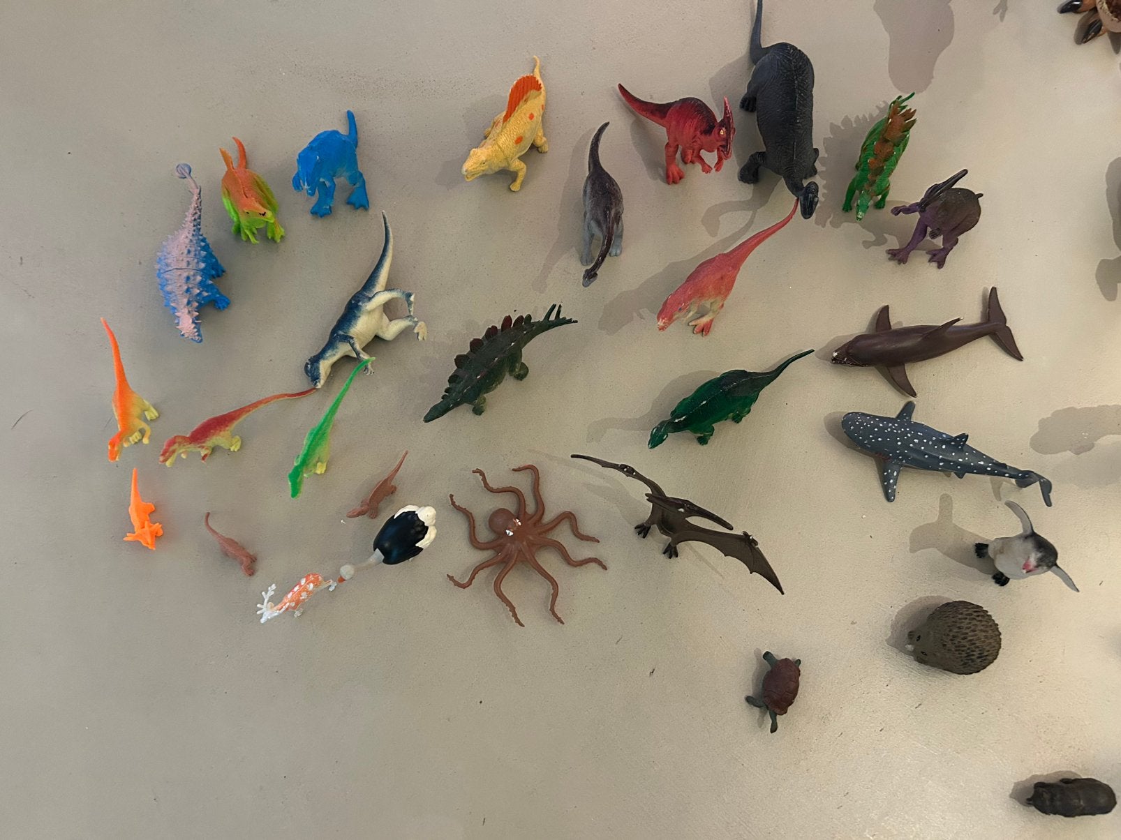 Animaux, Enlèvement, Utilisé