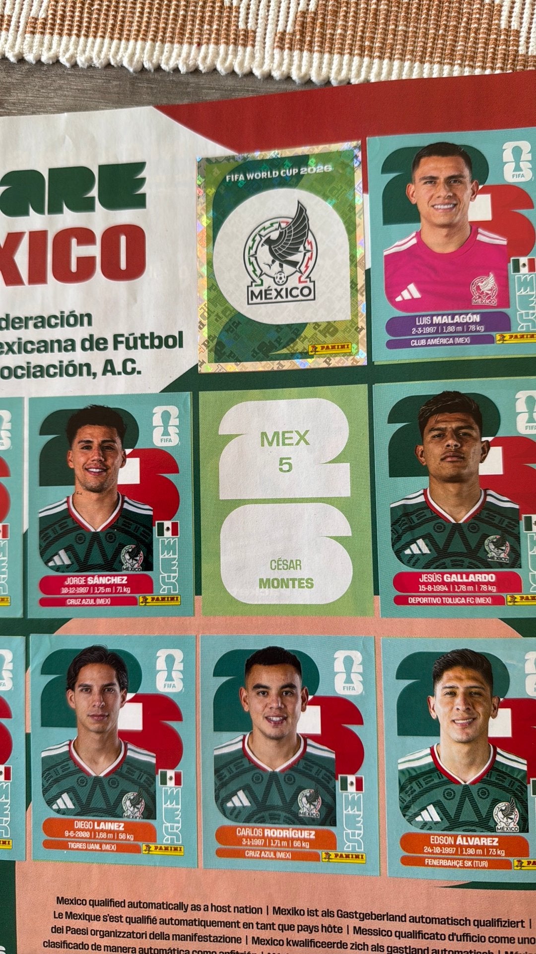 WK sticker Panini gezocht - laatste ontbrekende, Verzenden, Zo goed als nieuw, Sticker