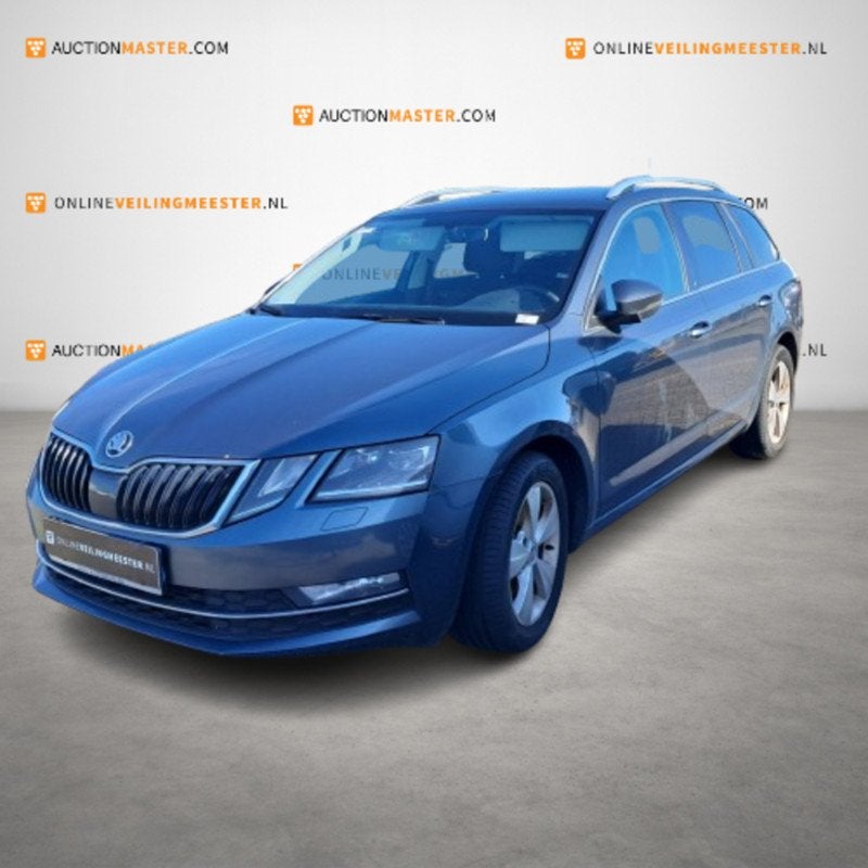 Personenauto, Skoda, Octavia Combi, 2.0 TDI Greentech Style, Autos, Neuf, Achat, Entreprise, Autres carburants