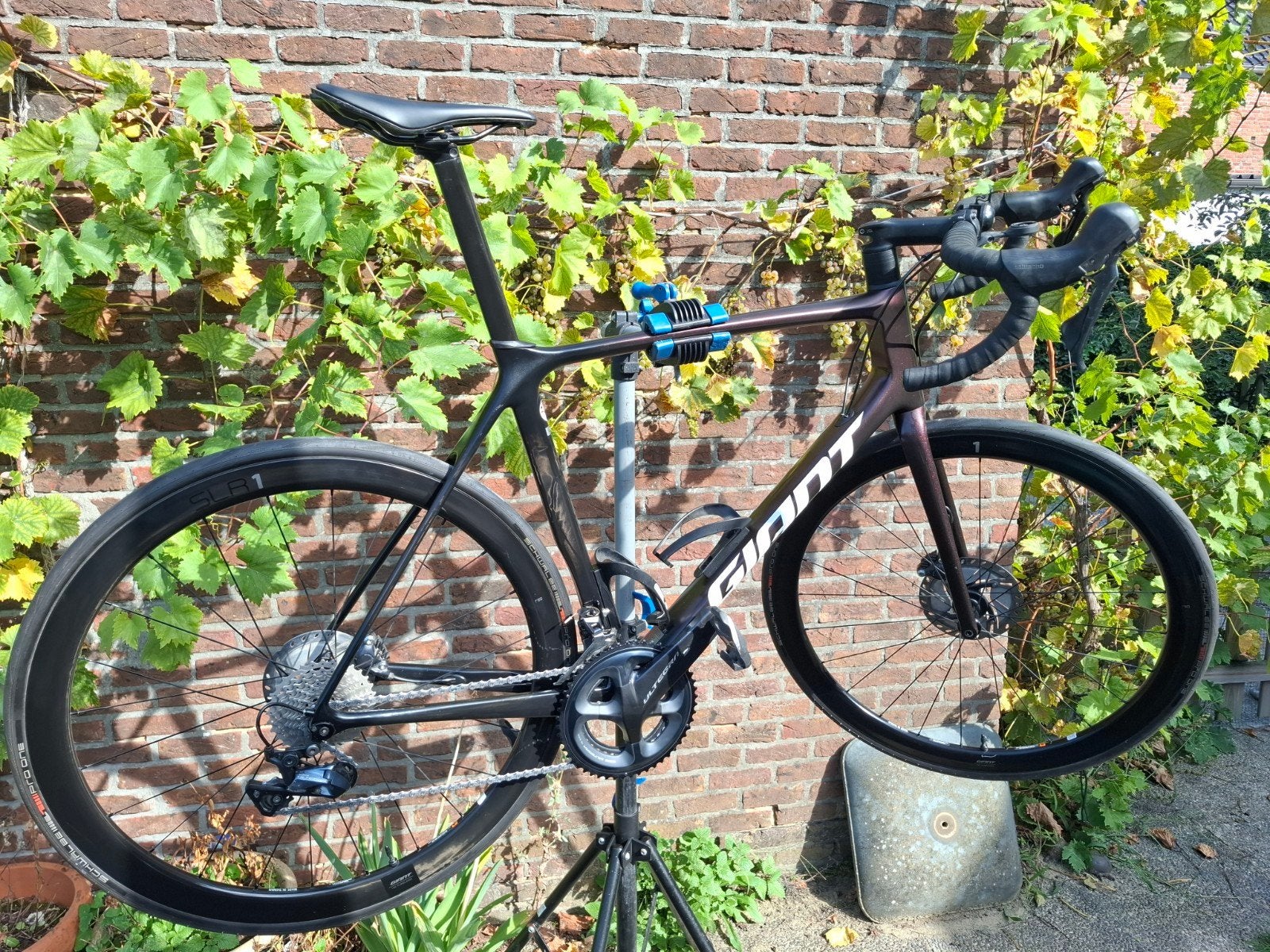 giant tcr pro1 met nieuwe aandrijving, Ophalen, 28 inch, Carbon, Giant