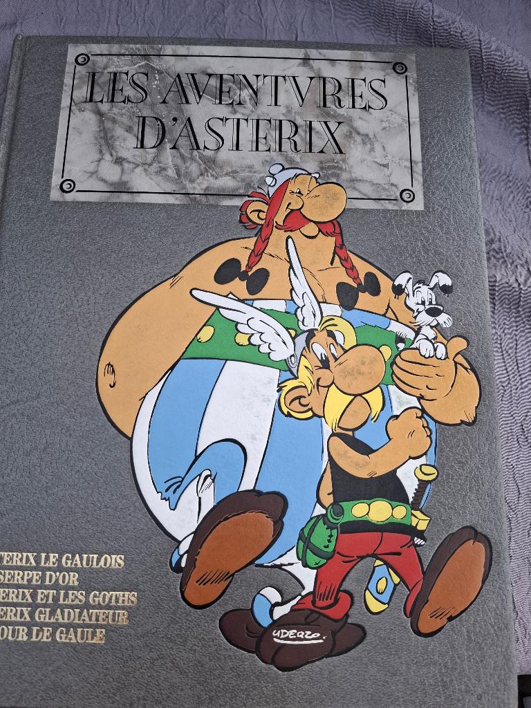 De avonturen van Astérix INTEGRALE T1 DARGAUD ED HACHETTE, Boeken, Ophalen