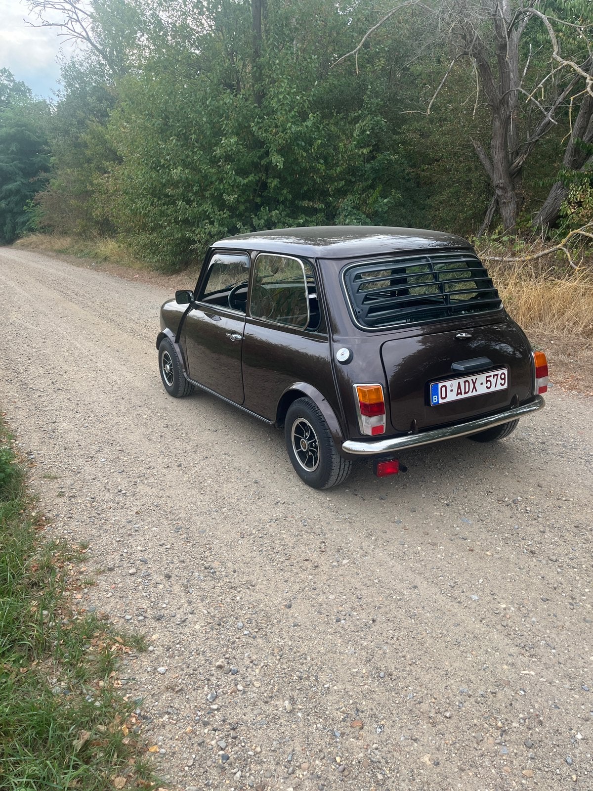 Austin mini 1983 (aangepaste prijs), Auto's, Bruin, Bruin, Diesel, Particulier