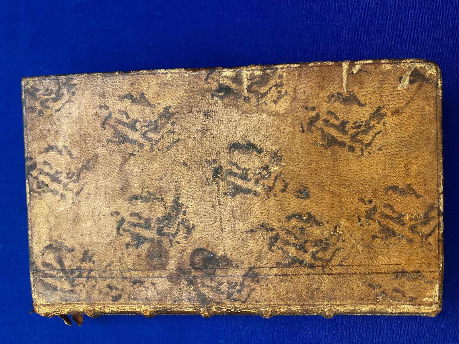 Petri de Goesin, Gandavi, 1770 Examina Sripturistica, Antiquités & Art, Enlèvement