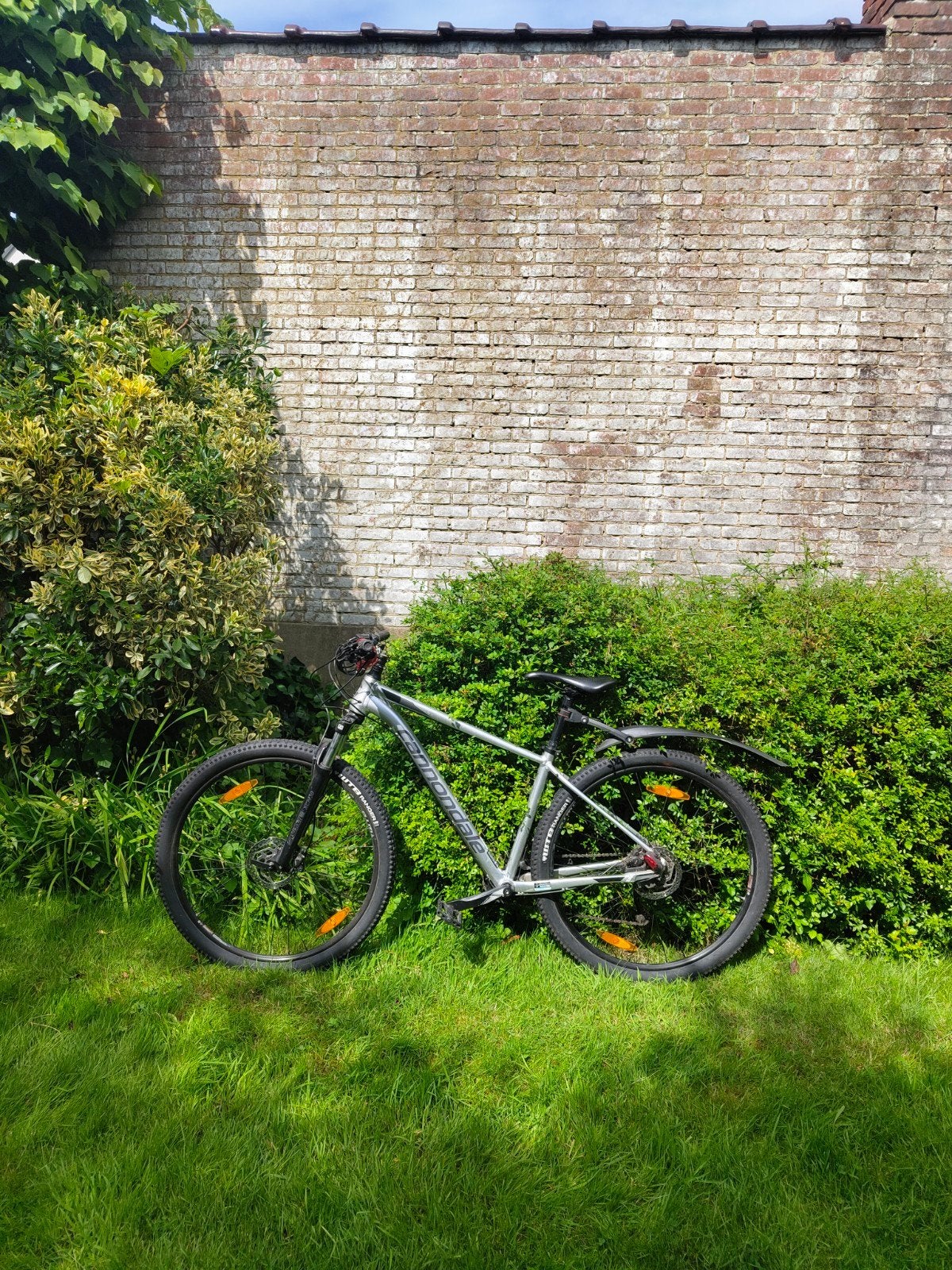 Cannondale Mountainbike, Fietsen en Brommers, Fietsen | Mountainbikes en ATB, Ophalen