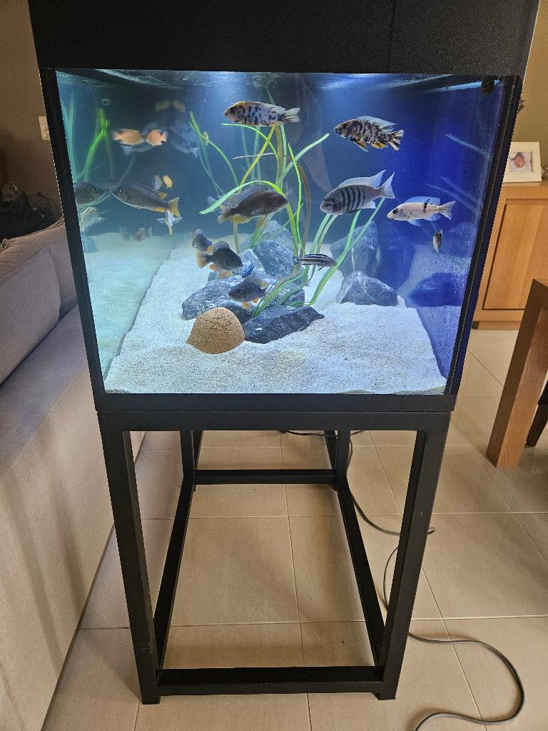 aquarium te koop, Enlèvement, Comme neuf, Meuble d'aquarium