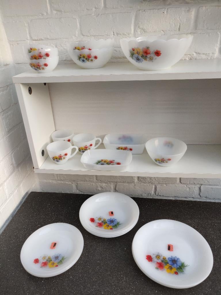Lot Arcopal Anemonen, Huis en Inrichting, Keuken | Servies, Ophalen, Gebruikt, Overige typen