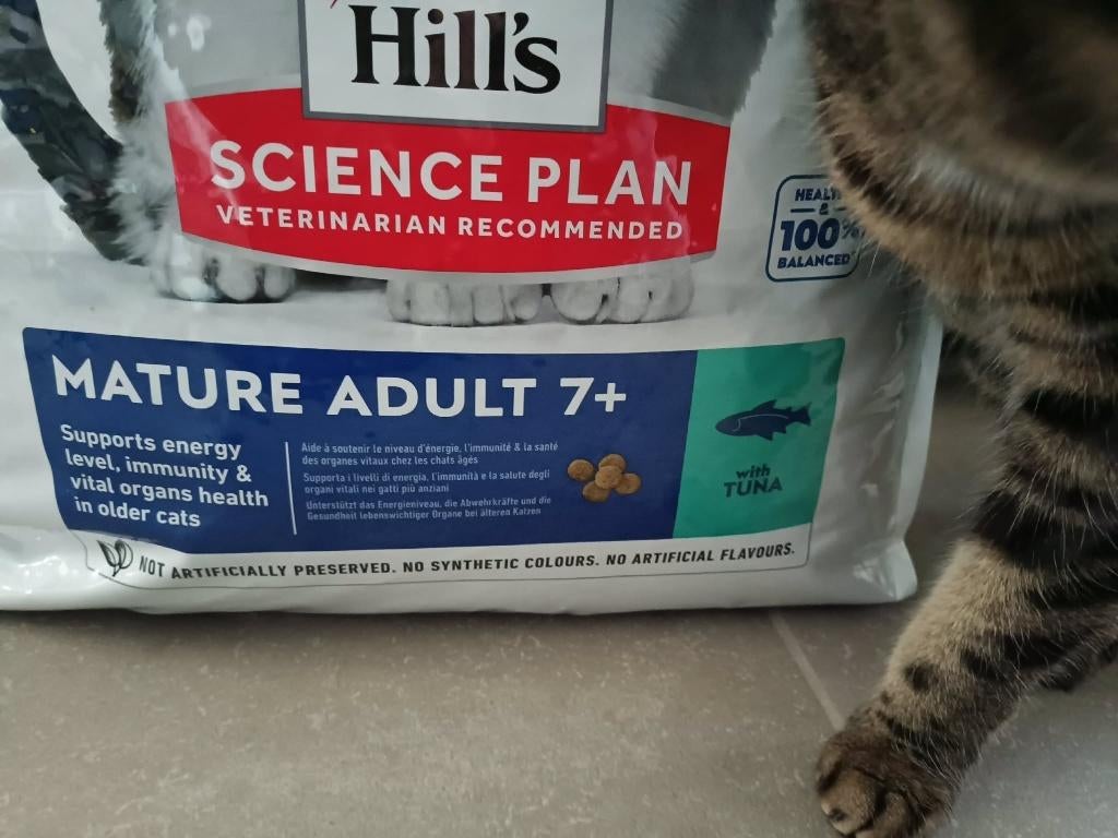 Hill's cat mature adult (7+) met tonijn 9 KG, Ophalen, Kat