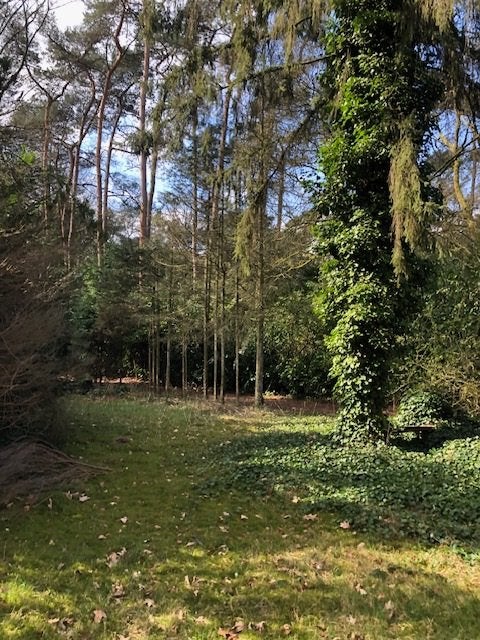 Perceel bouwgrond te koop Schilde, Immo, Gronden en Bouwgronden, 1500 m² of meer, Verkoop zonder makelaar