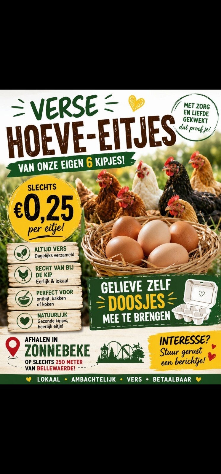 Verse eitjes te koop, Diversen, Levensmiddelen, Ophalen