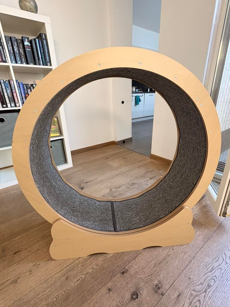 Kattenlooprad NIEUW!, Ophalen, Nieuw