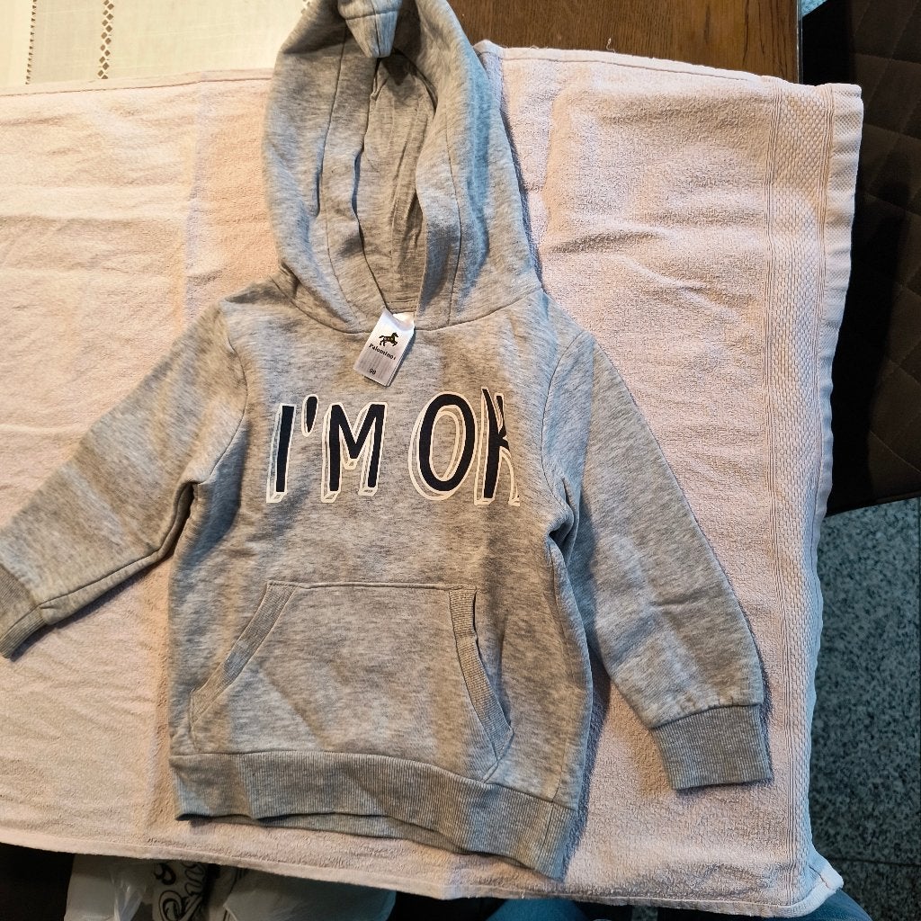 PULLS JONGEN Maat 98 en maat 110, Kinderen en Baby's, Kinderkleding | Maat 98, Ophalen, Gebruikt, Jongen, Trui of Vest