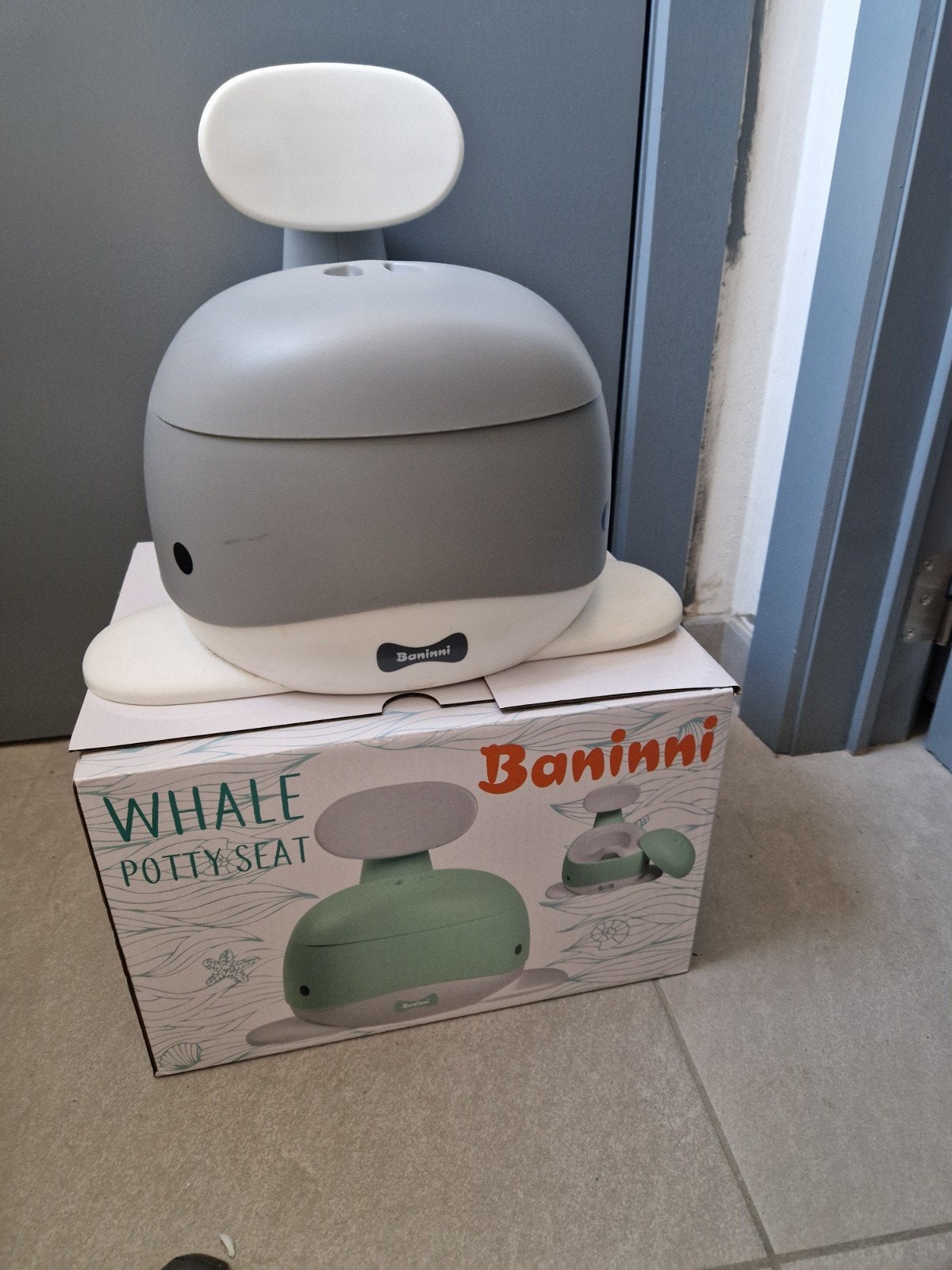 Potje walvis, Enlèvement