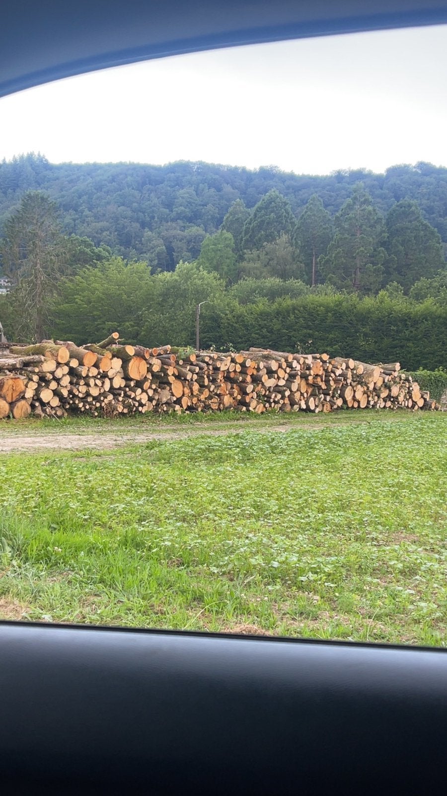 Bois 2 m vert charme ,hettes ,chene, Ophalen, Eikenhout, Stammen