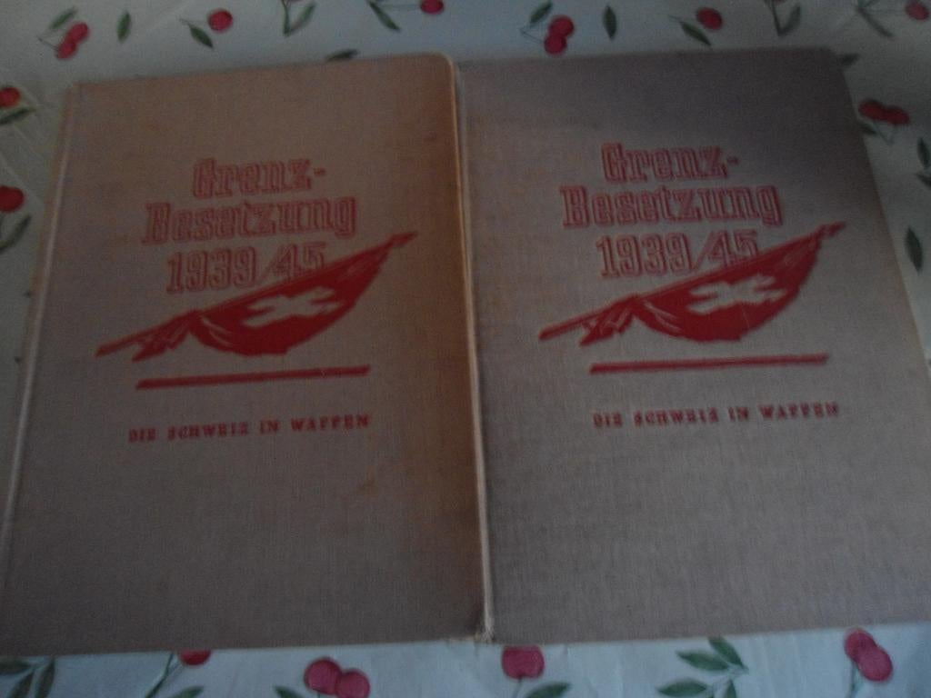 Paar Duitse boeken in uitstekende staat., Ophalen of Verzenden, Tweede Wereldoorlog, Zo goed als nieuw, Algemeen