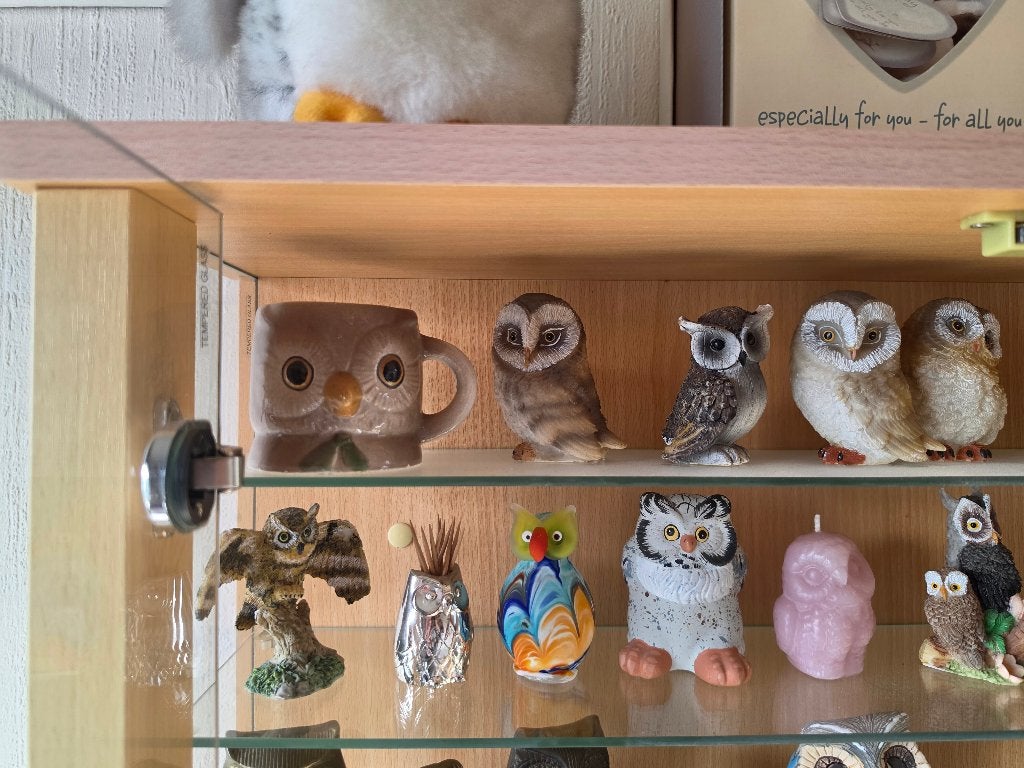 uilen collectie, Ophalen, Zo goed als nieuw, Dier