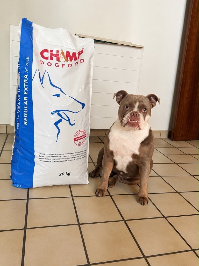 Champ Dogfood – Officieel verkooppunt België |, Dieren en Toebehoren, Dierenvoeding, Ophalen, Hond