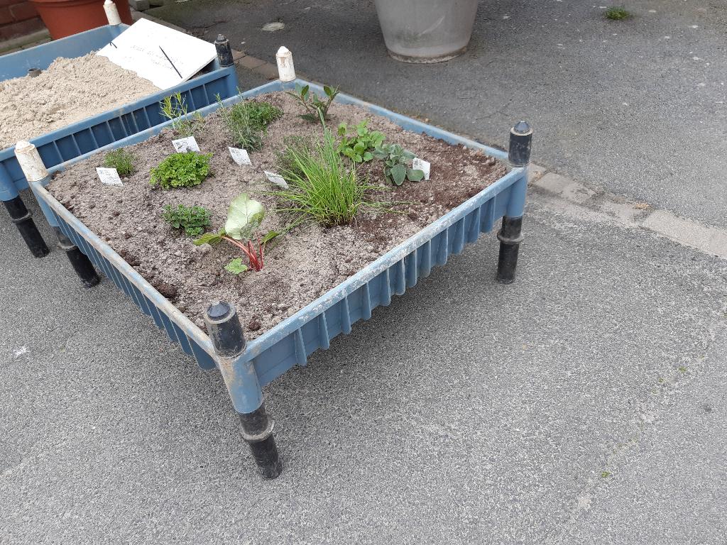 plantbak, Ophalen