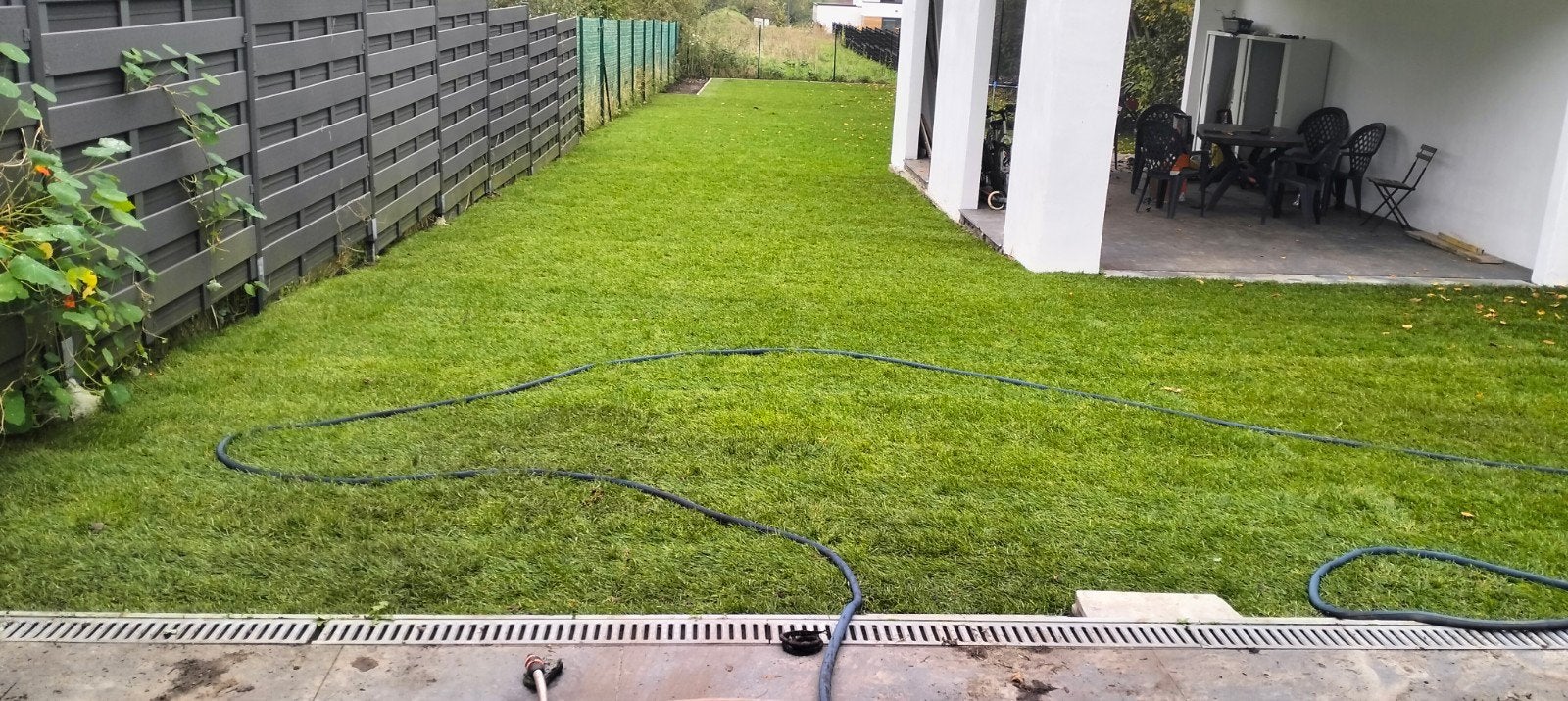 pelouse 24 m² disponible, Jardin & Terrasse, Enlèvement