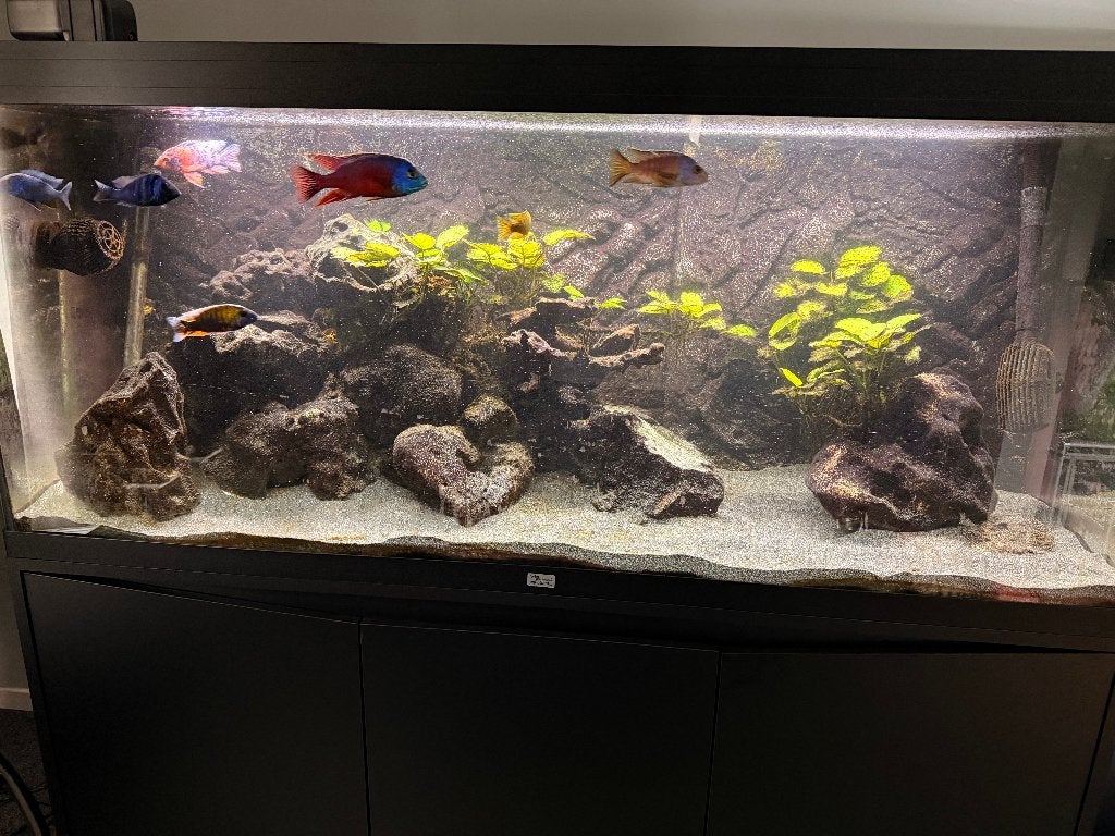 Aquatlantis aquarium 450L + meubel + Fluval FX6 + vissen, Dieren en Toebehoren, Ophalen, Gebruikt, Pomp, Aquatlantis
