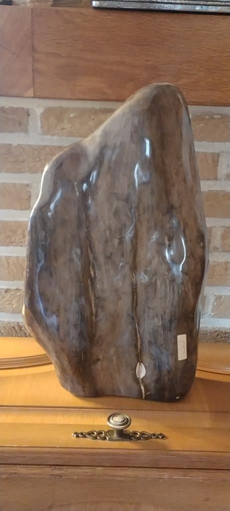 Versteend hout, Verzamelen, Ophalen