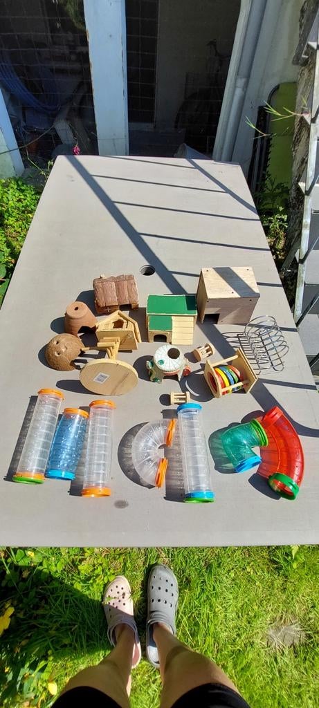 Accessoires pour petits rongeurs, Animaux & Accessoires