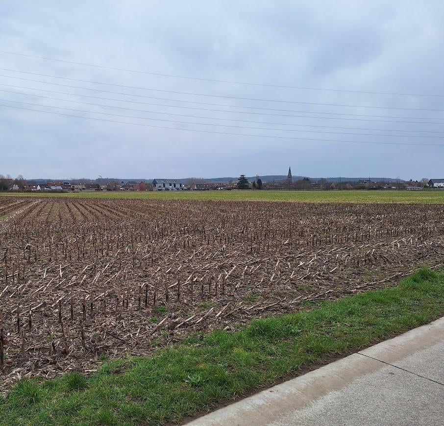 Landbouwgrond Rotselaar  31 are 16 ca, Rotselaar Leuven, Ventes sans courtier, 1500 m² ou plus