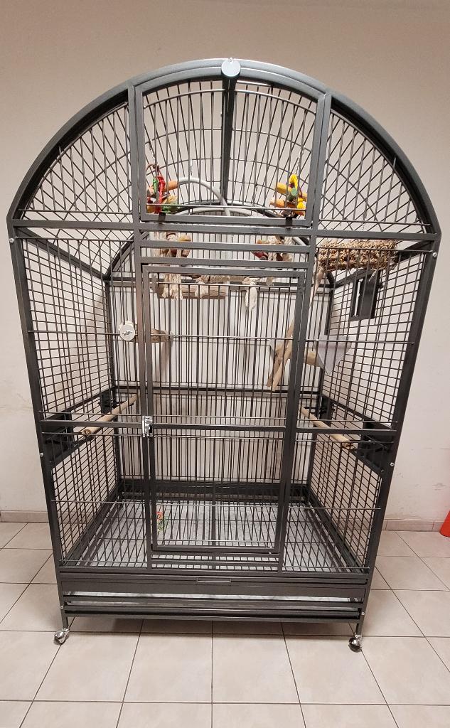 Montana XXL papegaaienkooi + zitstokken en spelletjes, Ophalen, Zo goed als nieuw, Metaal, Vogelkooi