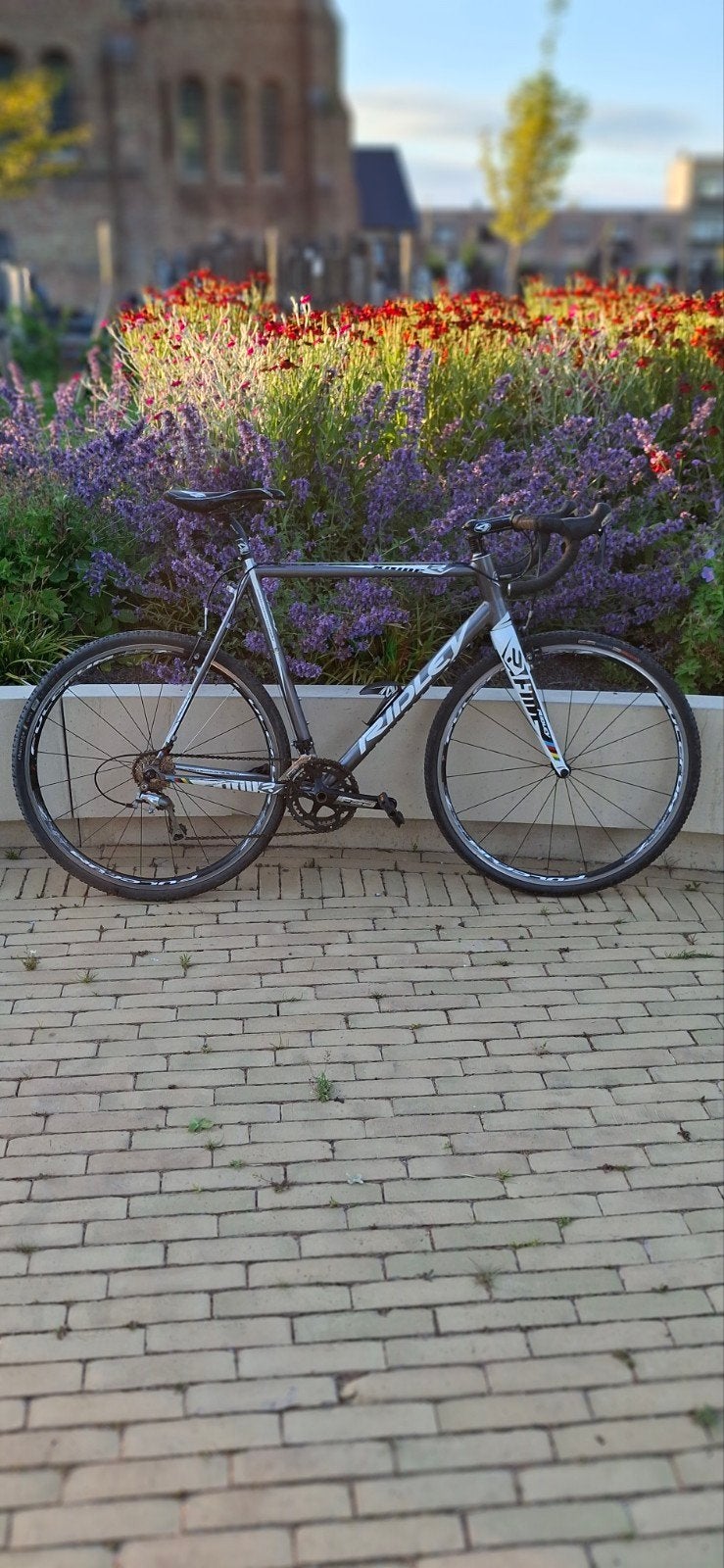 Ridley X-Ride Gravelfiets / Cyclocross, Fietsen en Brommers, Gebruikt, Velgrem, 56 cm of meer, 15 tot 20 versnellingen
