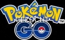 Gezocht: Pokemon go, Ophalen of Verzenden, Zo goed als nieuw