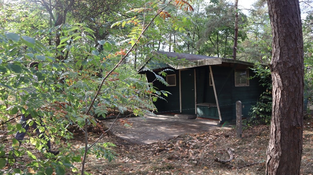 Te koop: vakantiehuisje op 2.000 m² eigen recreatiegrond, Immo, 22 m², Chalet, Province d'Anvers