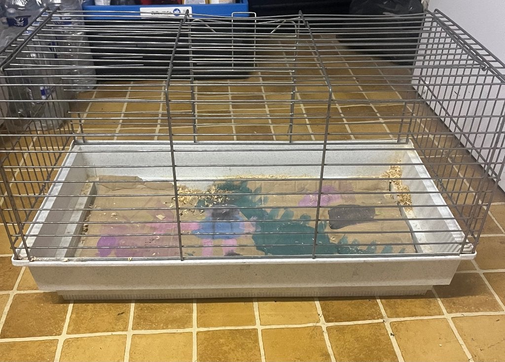 Cage lapin, Enlèvement, Utilisé, Cage, Cobaye