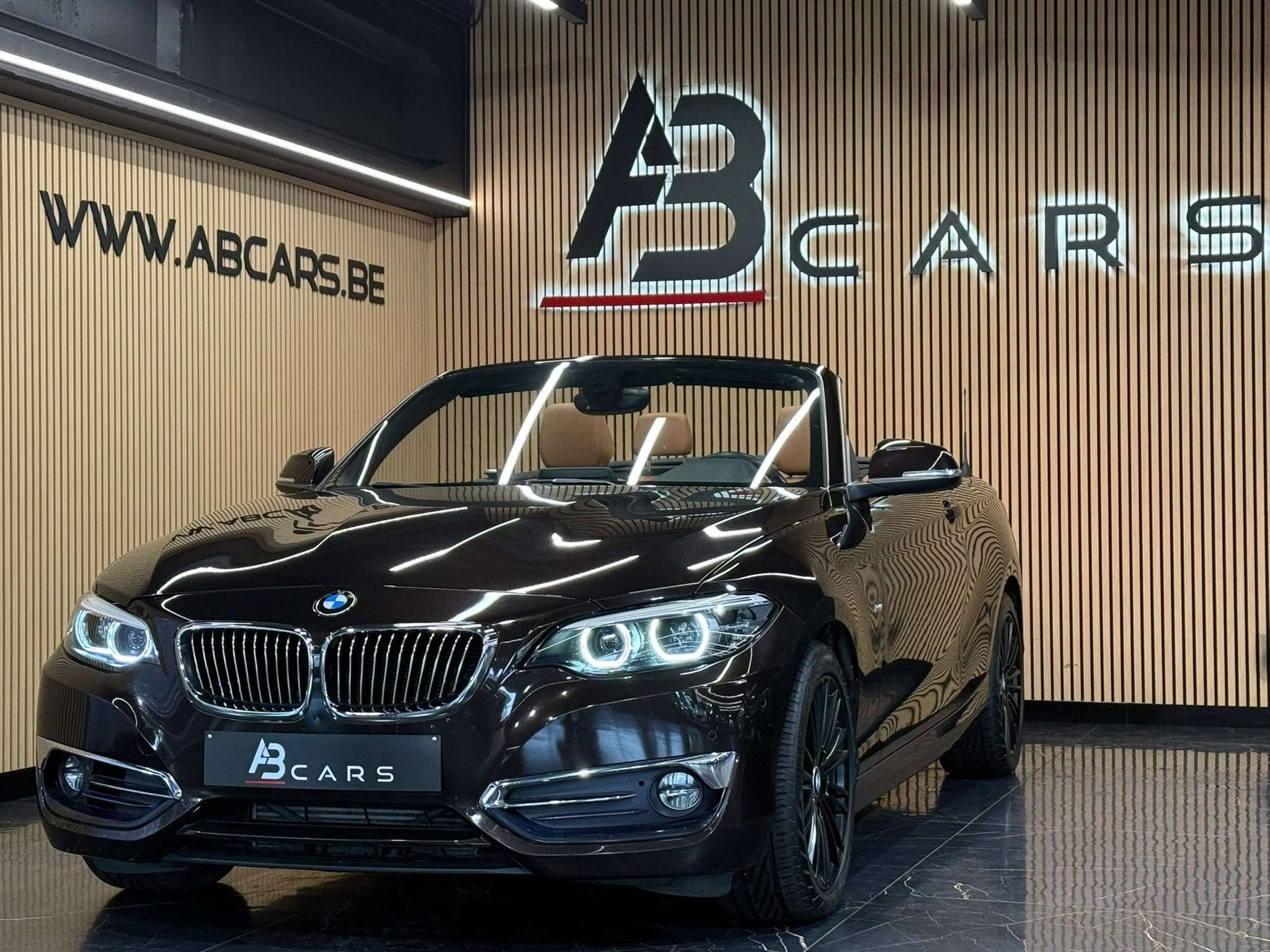 BMW 2 Serie 218 IA PACK LUXURY CABRIOLET * GARANTIE 12 MOIS, Autos, Euro 6, Entreprise, Cabriolet, https://public.car-pass.be/vhr/3bf7deeb-21bf-4ffb-9af3-6125ac9e390b