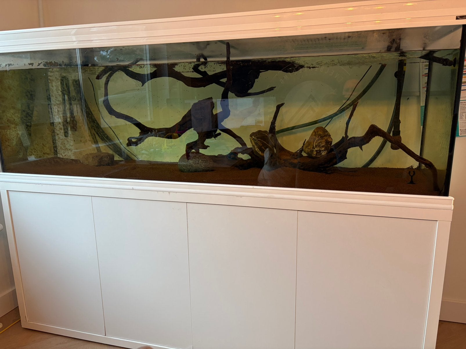 Groot aquarium 2meter, Dieren en Toebehoren, Ophalen, Decoratie, Eheim