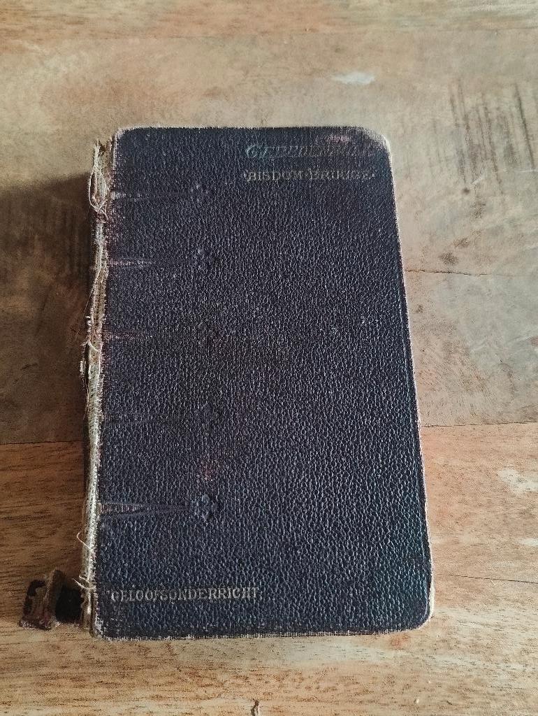 Gebedenboek bisdom Brugge 1927, Boeken, Ophalen of Verzenden, Gelezen