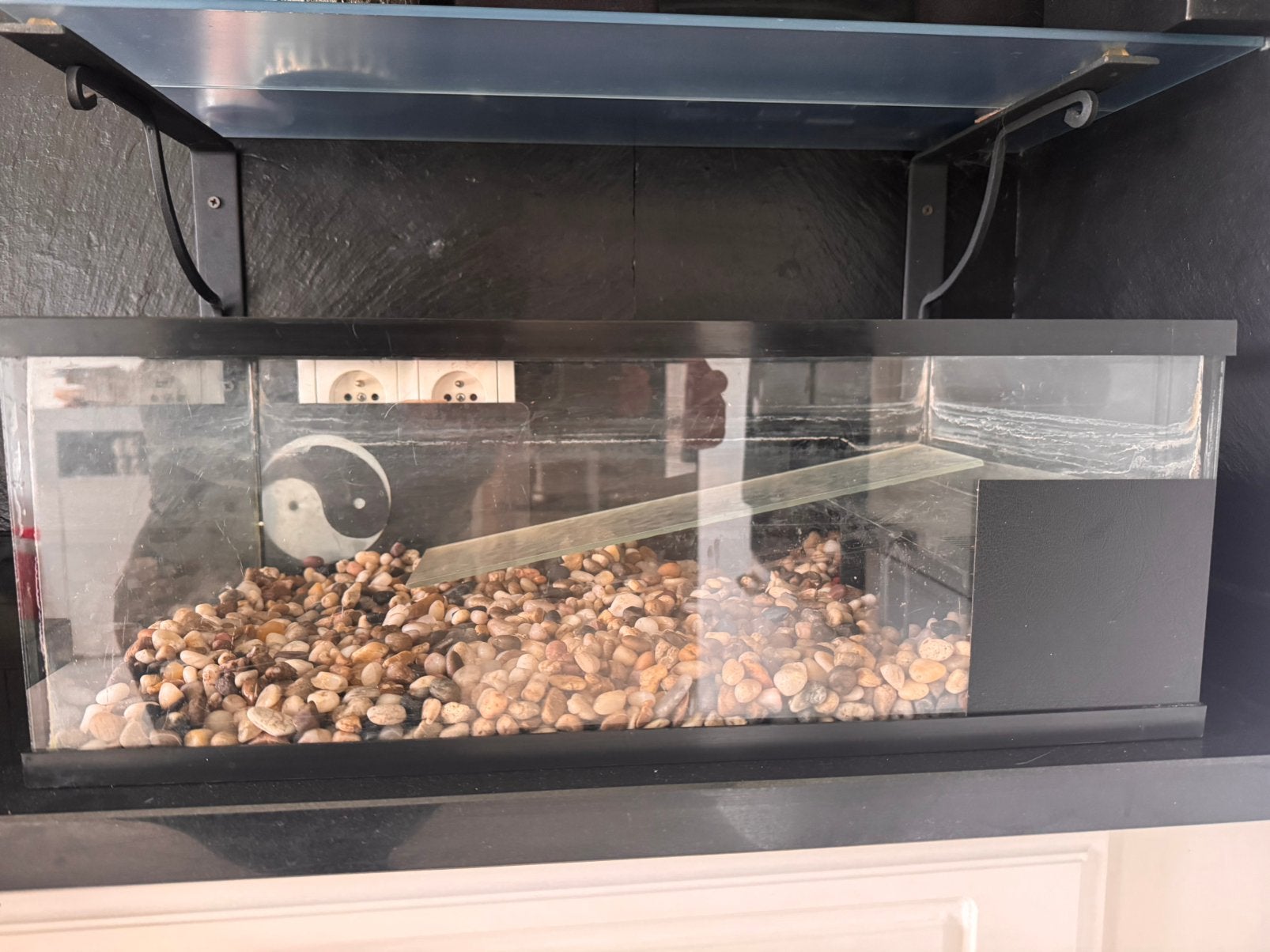 Terrarium, Animaux & Accessoires, Reptiles & Amphibiens | Accessoires, Utilisé, Enlèvement