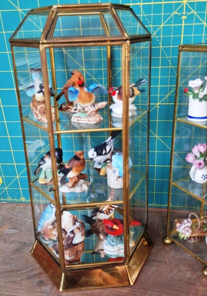 vitrine 12 oiseaux en porcelaine Franklin Mint, Enlèvement