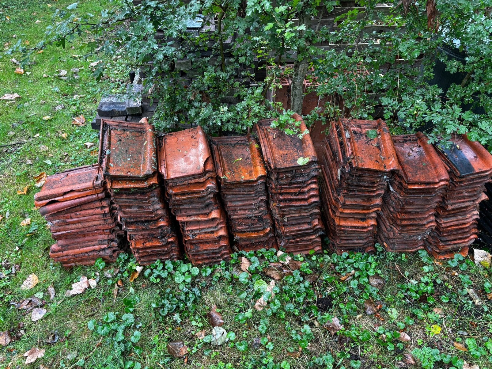 Dakpannen, Ophalen, Gebruikt, Steen of Klei, Dakpannen