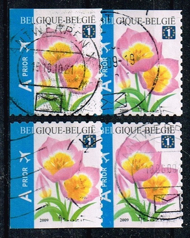 Timbres de Belgique - K 5969 - Tulipe sauvage, Timbres & Monnaies, Timbres | Europe | Belgique, Affranchi, Timbre-poste, Autre