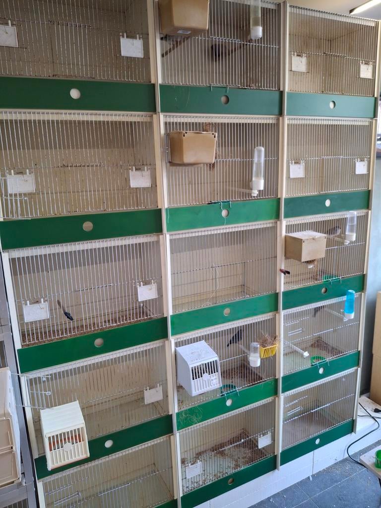 Pvc kweekkooien, Dieren en Toebehoren, Ophalen of Verzenden