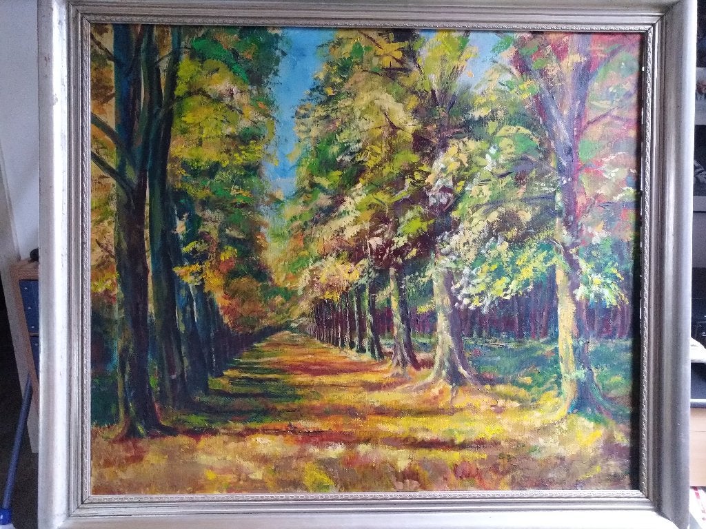 PEINTURE DE JEAN VAN BAELEN, Peinture à l'huile, Paysage, Enlèvement, Encadré