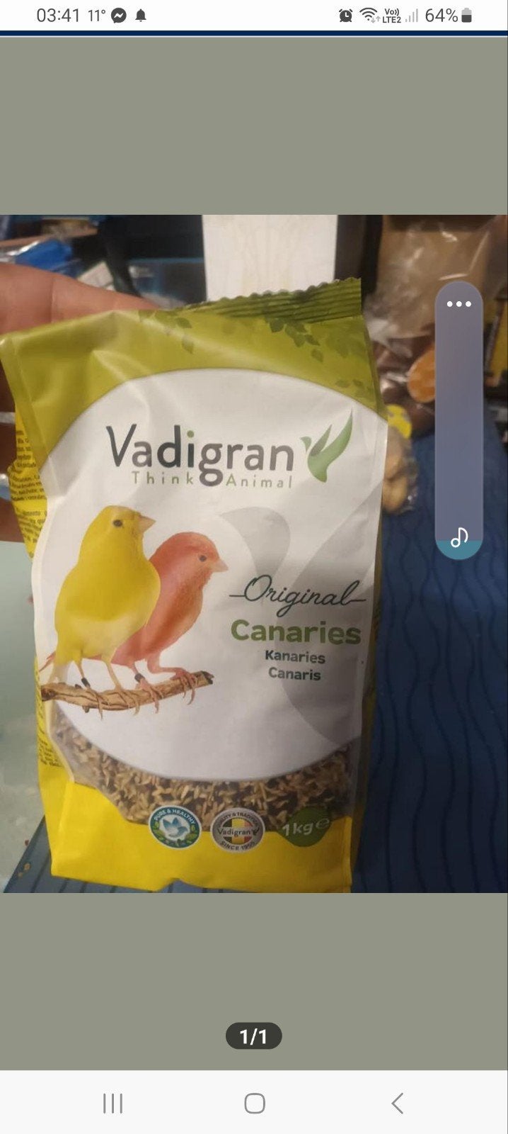 half handtam koppeltje dwergpapegaaien +kooi+2zakjes eten, Dieren en Toebehoren, Ophalen, Kooi