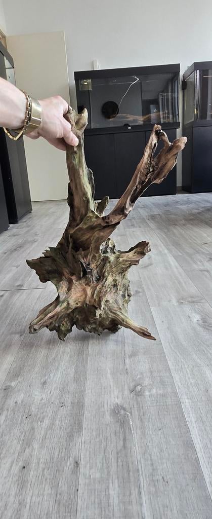 Mooi  groot stuk aquarium hout, Dieren en Toebehoren, Ophalen