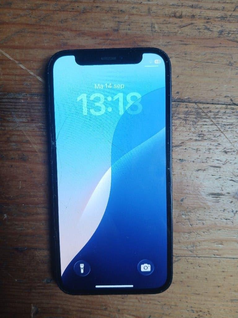 Iphone 12 mini, IPhone 12 Mini, Enlèvement, Utilisé, 64 GB
