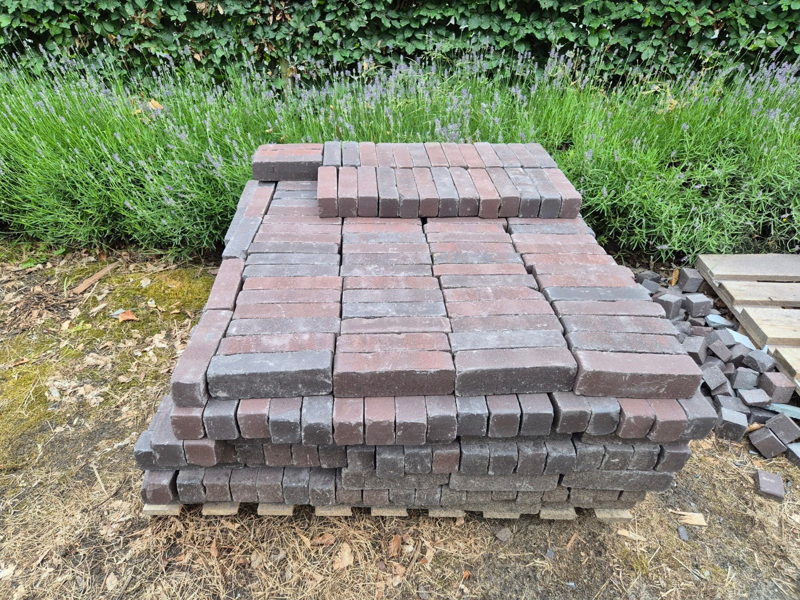 Kleiklinkers Bolzano Antica, Ophalen, Nieuw, 5 tot 10 m², Klinkers