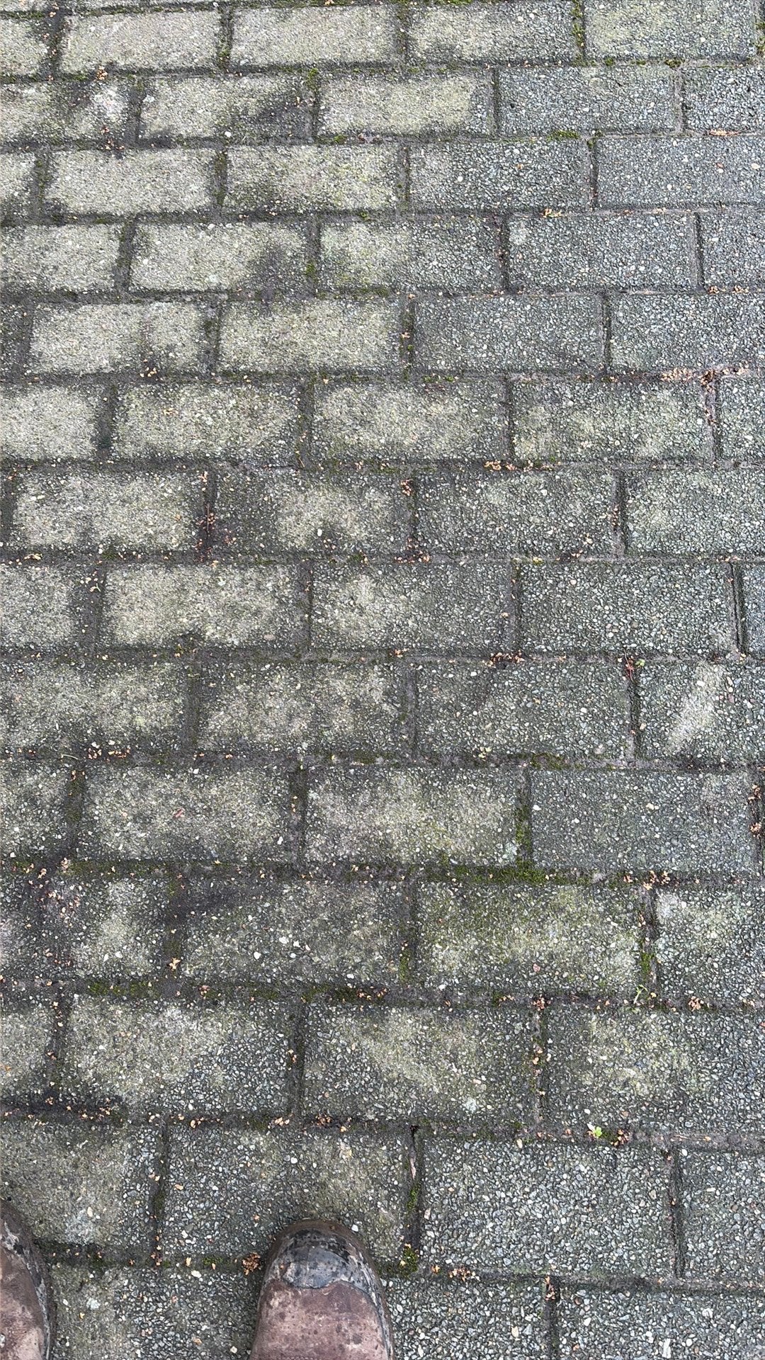 Gratis klinkers, Jardin & Terrasse, Béton, Enlèvement, Utilisé, Briques