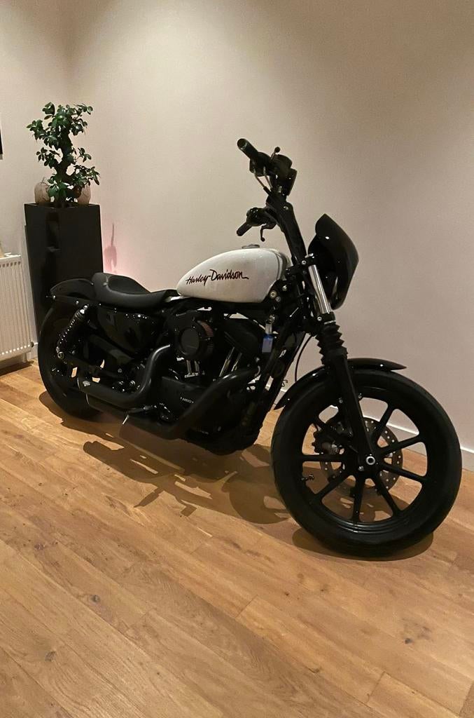 Harley davidson 1200 sportster 2019, Motoren, Motoren | Harley-Davidson, Particulier
