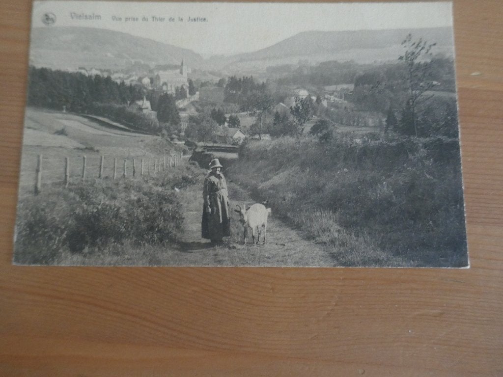 vielsalm vue prise du thier  de la justice, Verzamelen, Postkaarten | België, Verzenden, Gelopen, Luxemburg