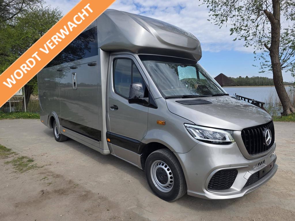 Mercedes-Benz Sprinter 317 AMG XXL 2-paards paardenvrachtwag, Dieren en Toebehoren, Paarden en Pony's | Trailers en Aanhangwagens