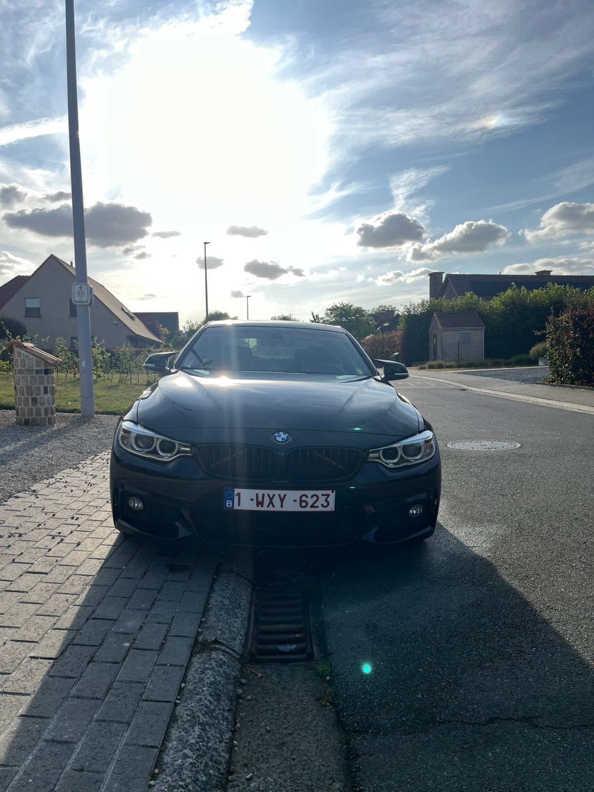 BMW 420i, Autos, Achat, Euro 6, 1700 kg, Alcantara